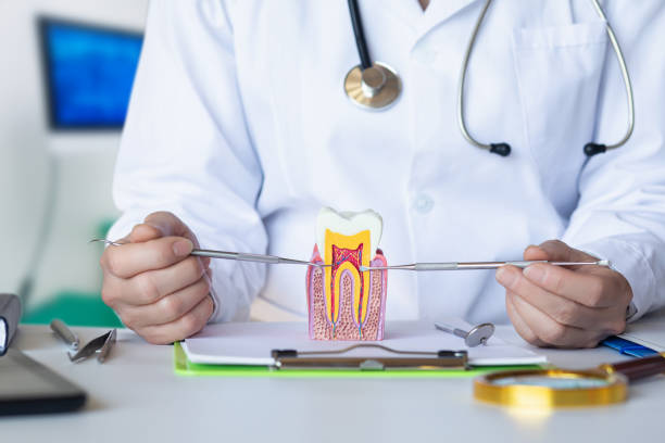 Best Emergency Dentist for Knocked-Out Tooth in Cornwells Heights, PA